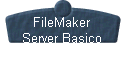 FileMaker 
 Server Basico